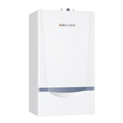 BT5 燃?xì)獗趻鞝t